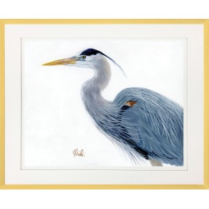 KS- BLUE HERON 6